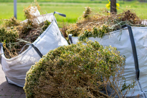 Best Electronics Removal Services  in China Lake Acres, CA
